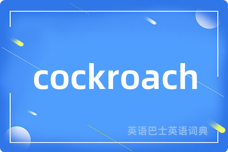 cockroach